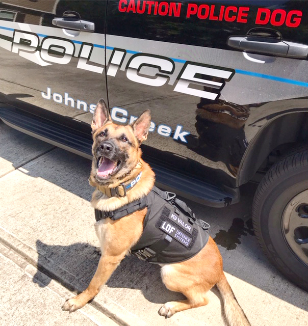 Jcpd k9