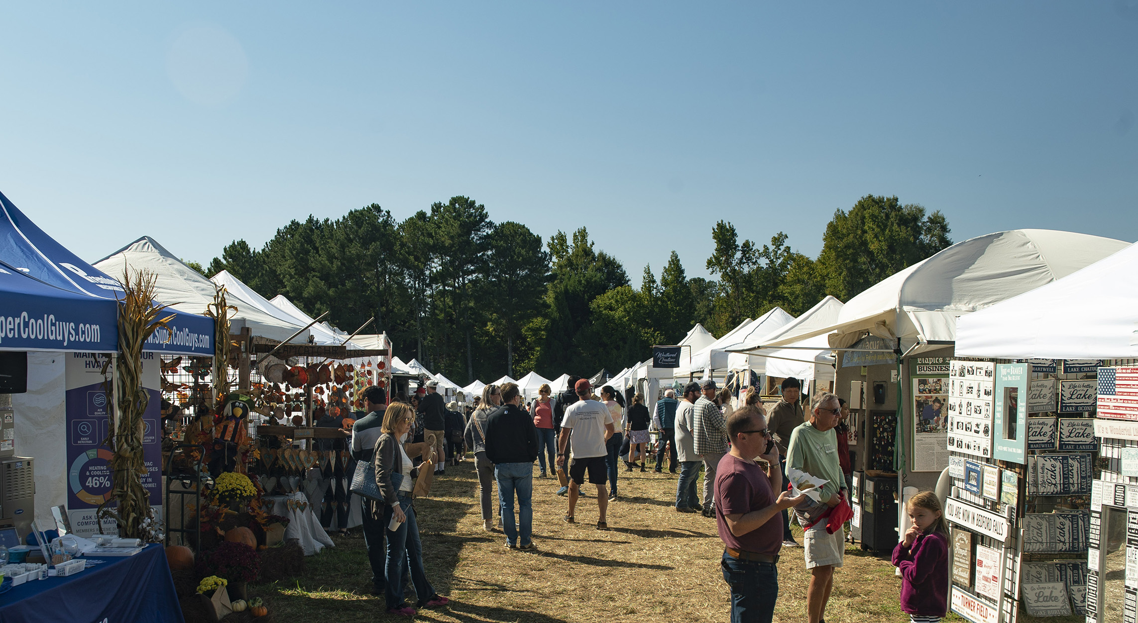 Arts festival banner