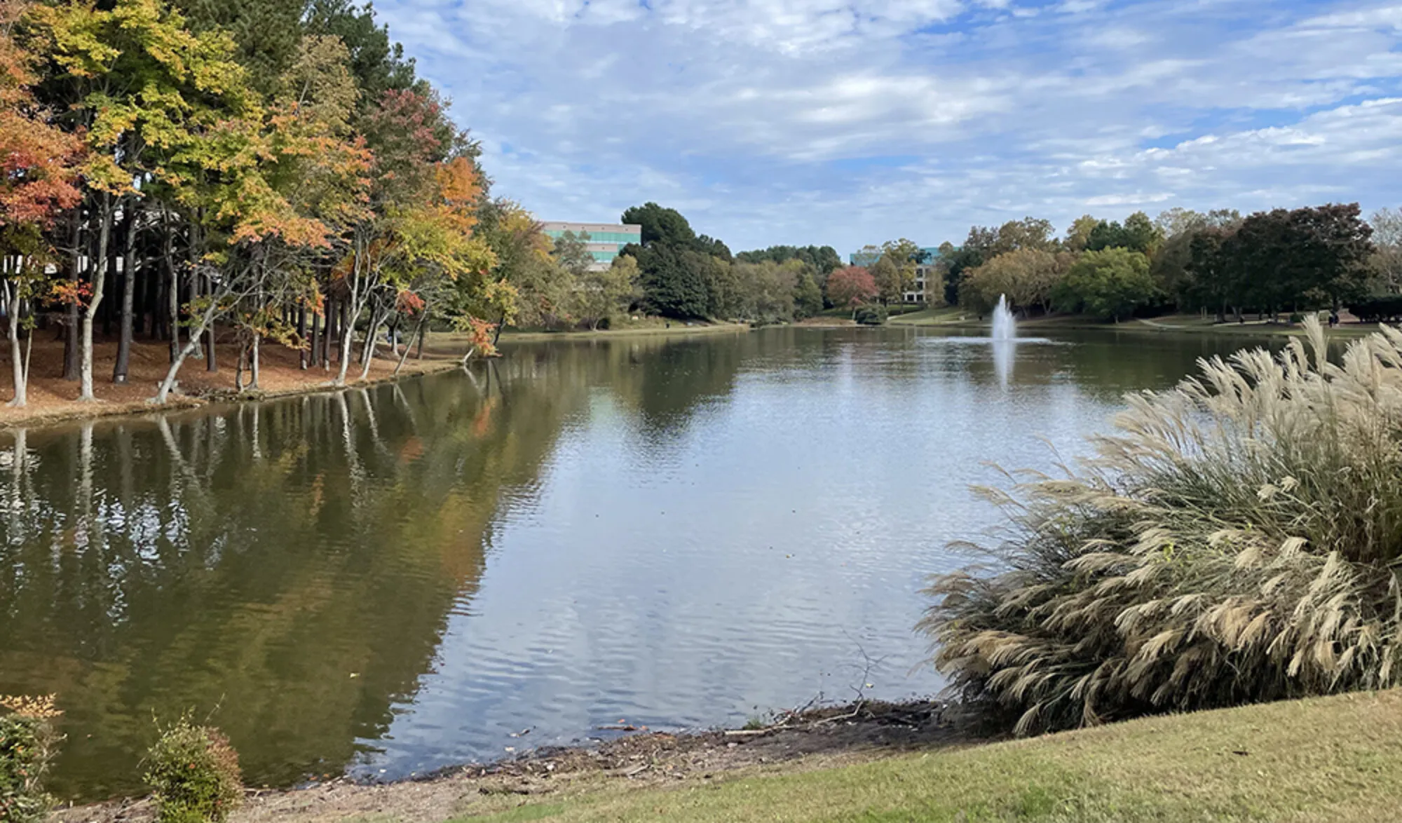Creekside Park pond in the Town Center